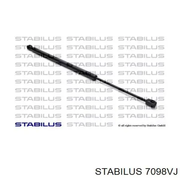 Амортизатор двері задньої Stabilus 7098VJ ціна, від 11.58 USD