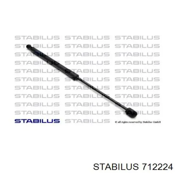 Амортизатор капота лівий Stabilus 712224 ціна, від 25.73 USD