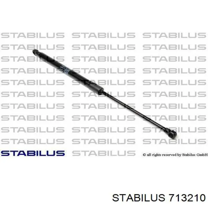 Амортизатор скла задніх, 3/5-ї двері (ляди) Stabilus 713210 ціна, від 14.55 USD