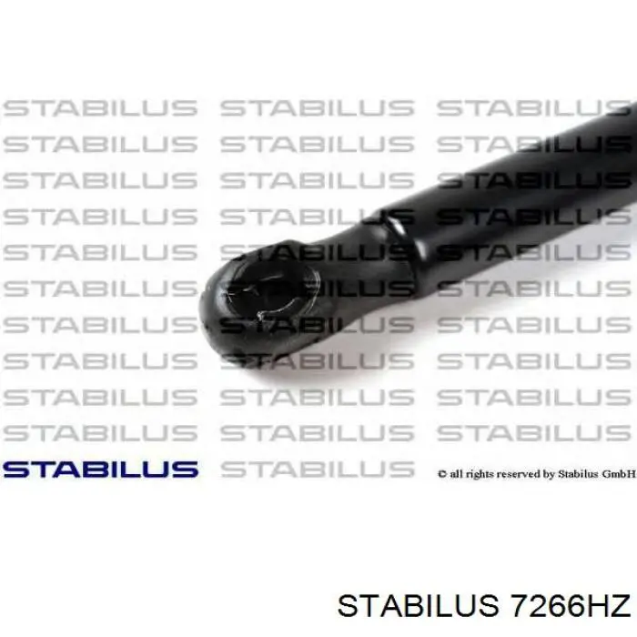 Амортизатор двері задньої Stabilus 7266HZ ціна, від 8.05 USD