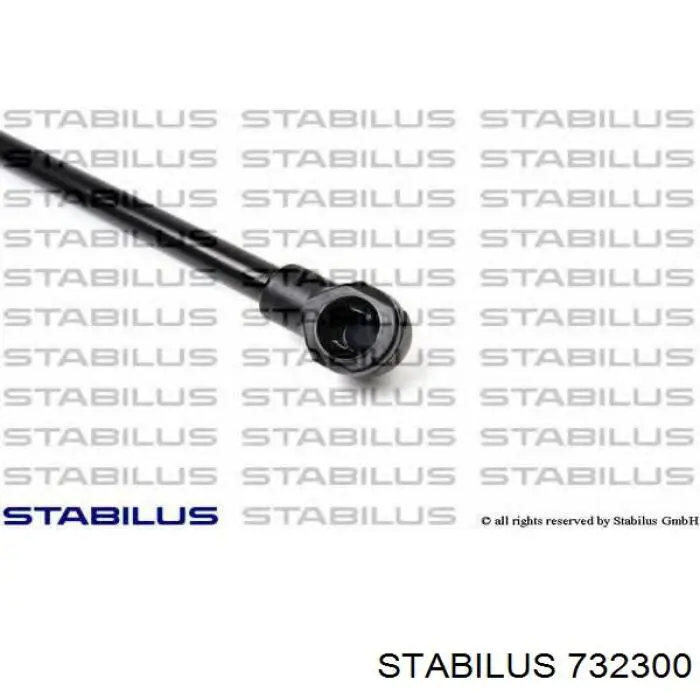 Амортизатор двері задньої Stabilus 732300 ціна, від 14.49 USD