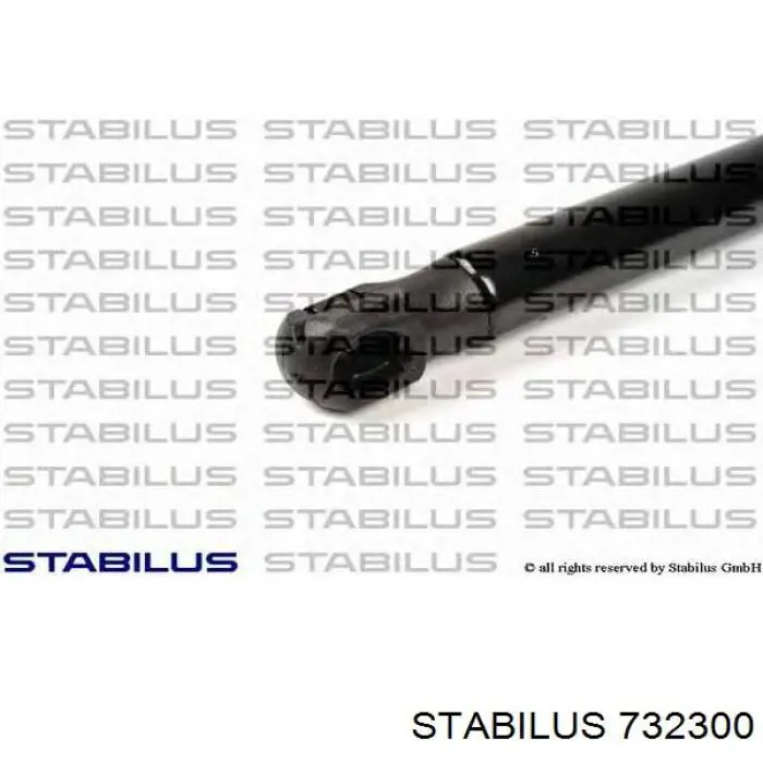 Купити 732300 Stabilus Амортизатор двері багажника