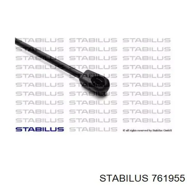 Амортизатор двері задньої Stabilus 761955 ціна, від 17.68 USD