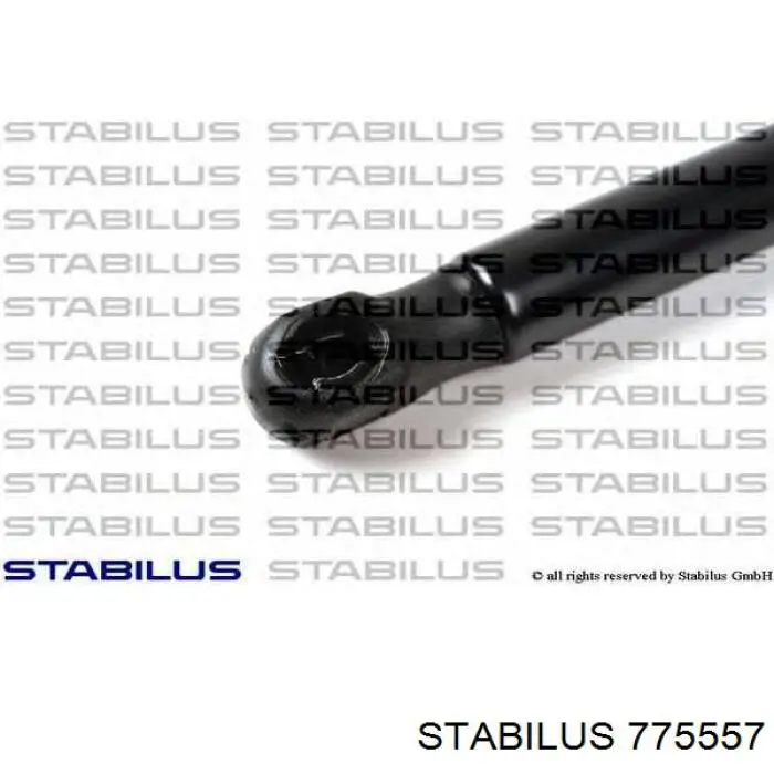 Амортизатор двері задньої Stabilus 775557 ціна, від 10.72 USD