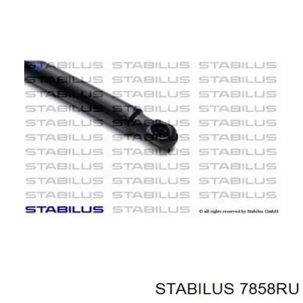 Купити GS0352 Magneti Marelli Амортизатор скла задніх, 3/5-ї двері (ляди)