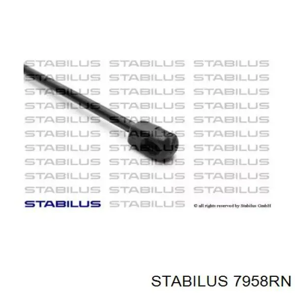 Амортизатор двері задньої Stabilus 7958RN ціна, від 8.15 USD