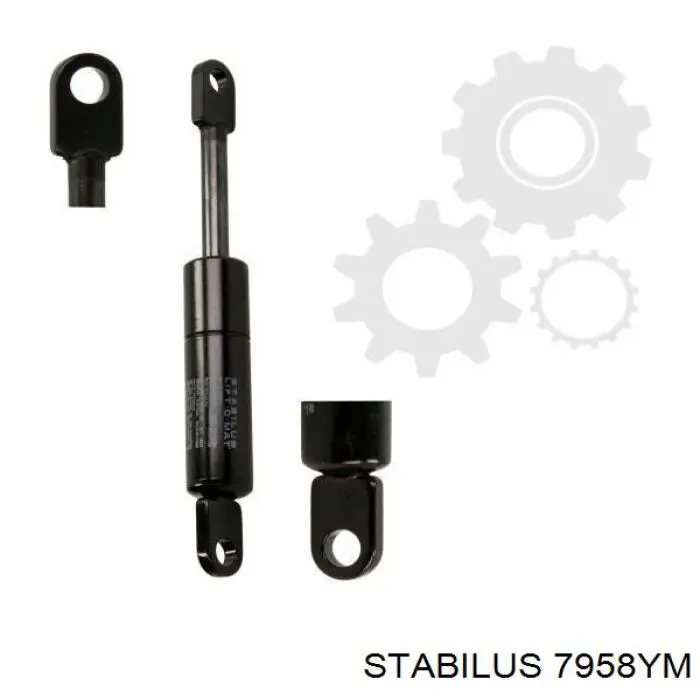 Купити STA7958YM Stabilus 