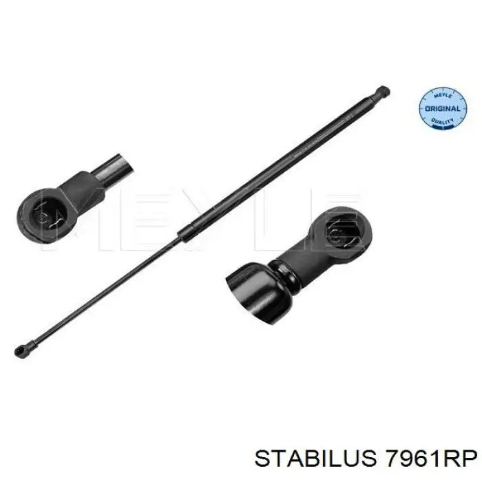 Амортизатор двері задньої Stabilus 7961RP ціна, від 8.91 USD