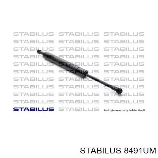 Купити 8491UM Stabilus Амортизатор двері багажника