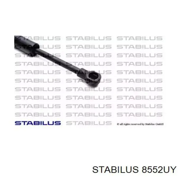 Амортизатор двері задньої Lesjofors 8169706 ціна, від 21.03 USD