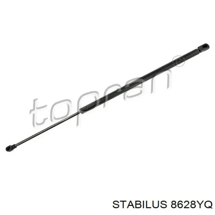 Амортизатор багажника ZSA04038 Ashika