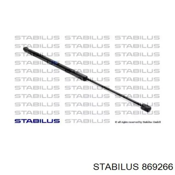Амортизатор двері задньої Stabilus 869266 ціна, від 10.63 USD