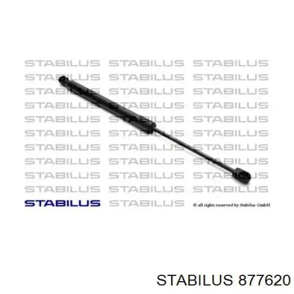 Амортизатор двері задньої Stabilus 877620 ціна, від 10.07 USD
