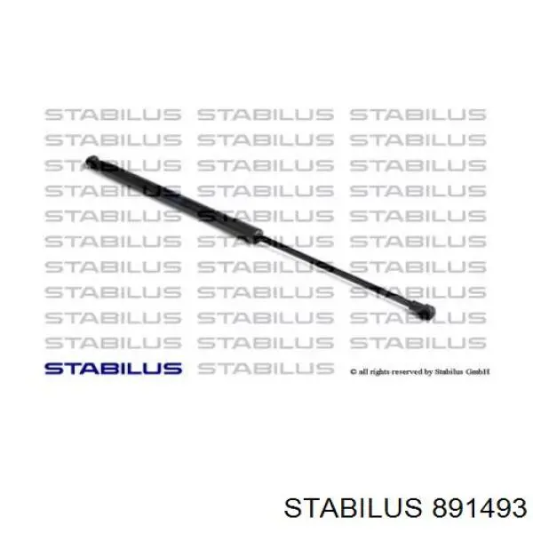 Купити 891493 Stabilus 