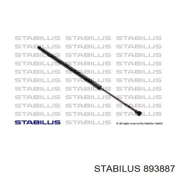 Амортизатор двері задньої Lesjofors 8108445 ціна, від 22.86 USD