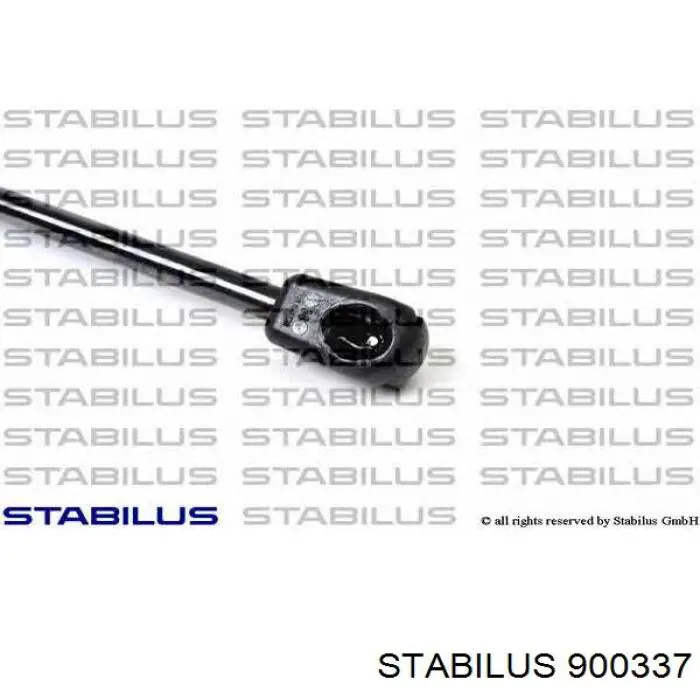 Амортизатор кришки багажника Renault (RVI) 7000210536A0