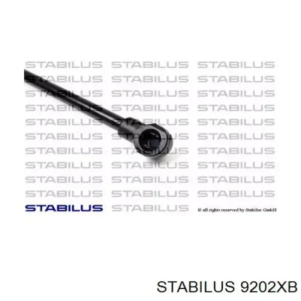  9202XB Stabilus