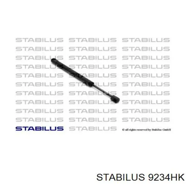 Амортизатор двері задньої Stabilus 9234HK ціна, від 7.74 USD