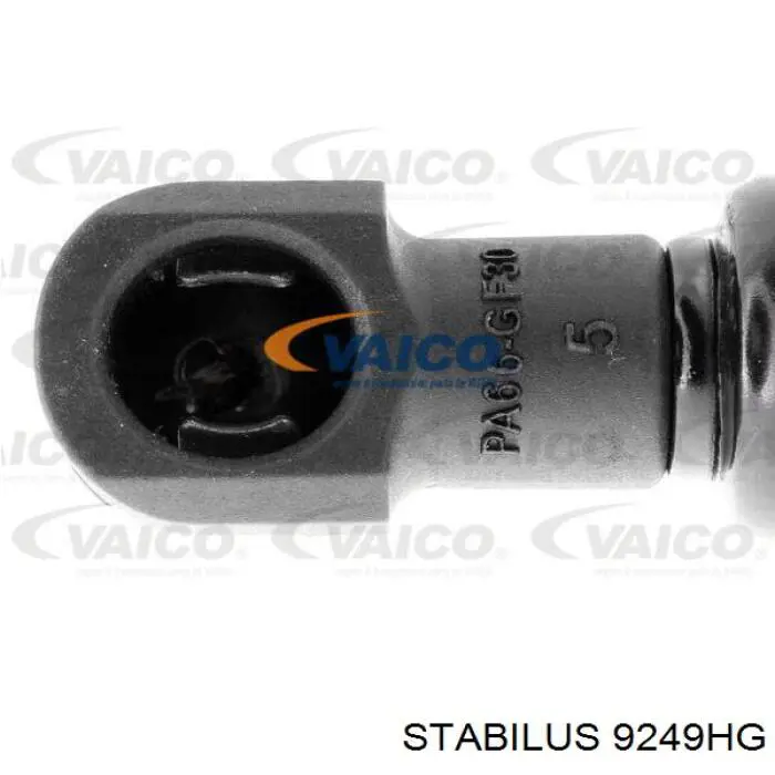 Амортизатор кришки багажника Magneti Marelli 430719042800