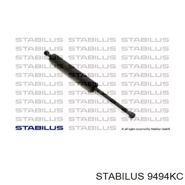 Амортизатор двері задньої Ashika ZSA05019 ціна, від 11.10 USD