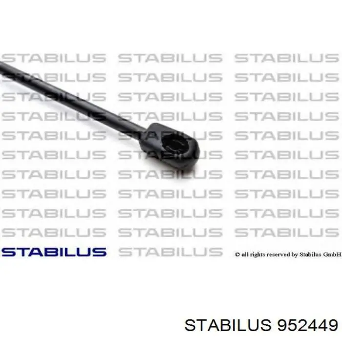 Амортизатор двері задньої Stabilus 952449 ціна, від 10.17 USD