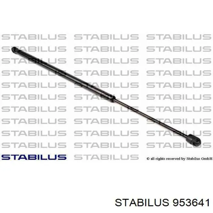 Амортизатор двері задньої Stabilus 953641 ціна, від 7.76 USD