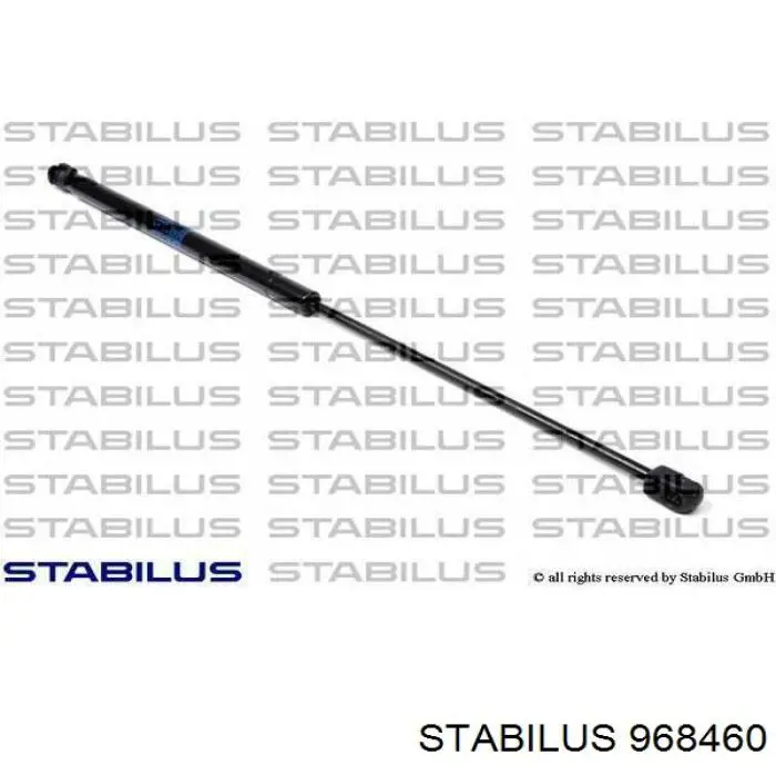 Амортизатор двері задньої Stabilus 968460 ціна, від 18.80 USD
