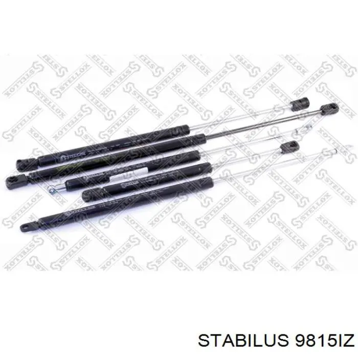 Амортизатор двері задньої Magneti Marelli GS0404 ціна, від 13.04 USD