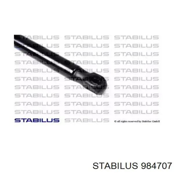 Амортизатор двері задньої Stabilus 984707 ціна, від 29.42 USD