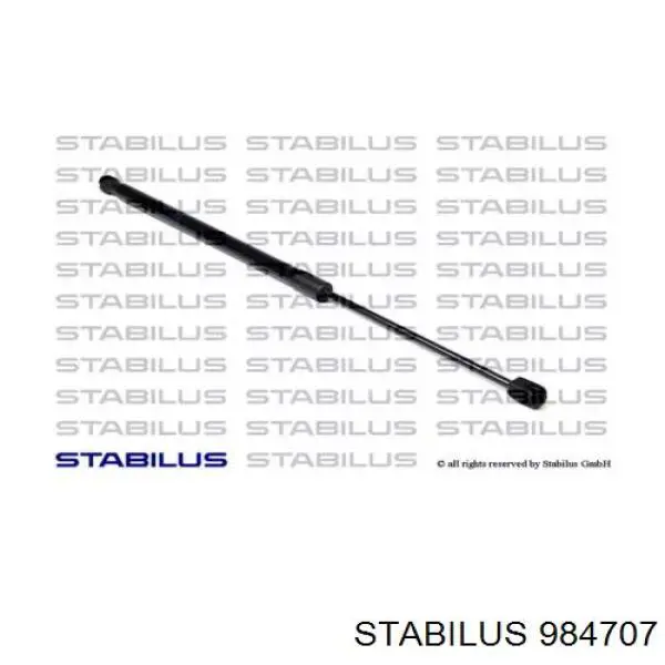  984707 Stabilus