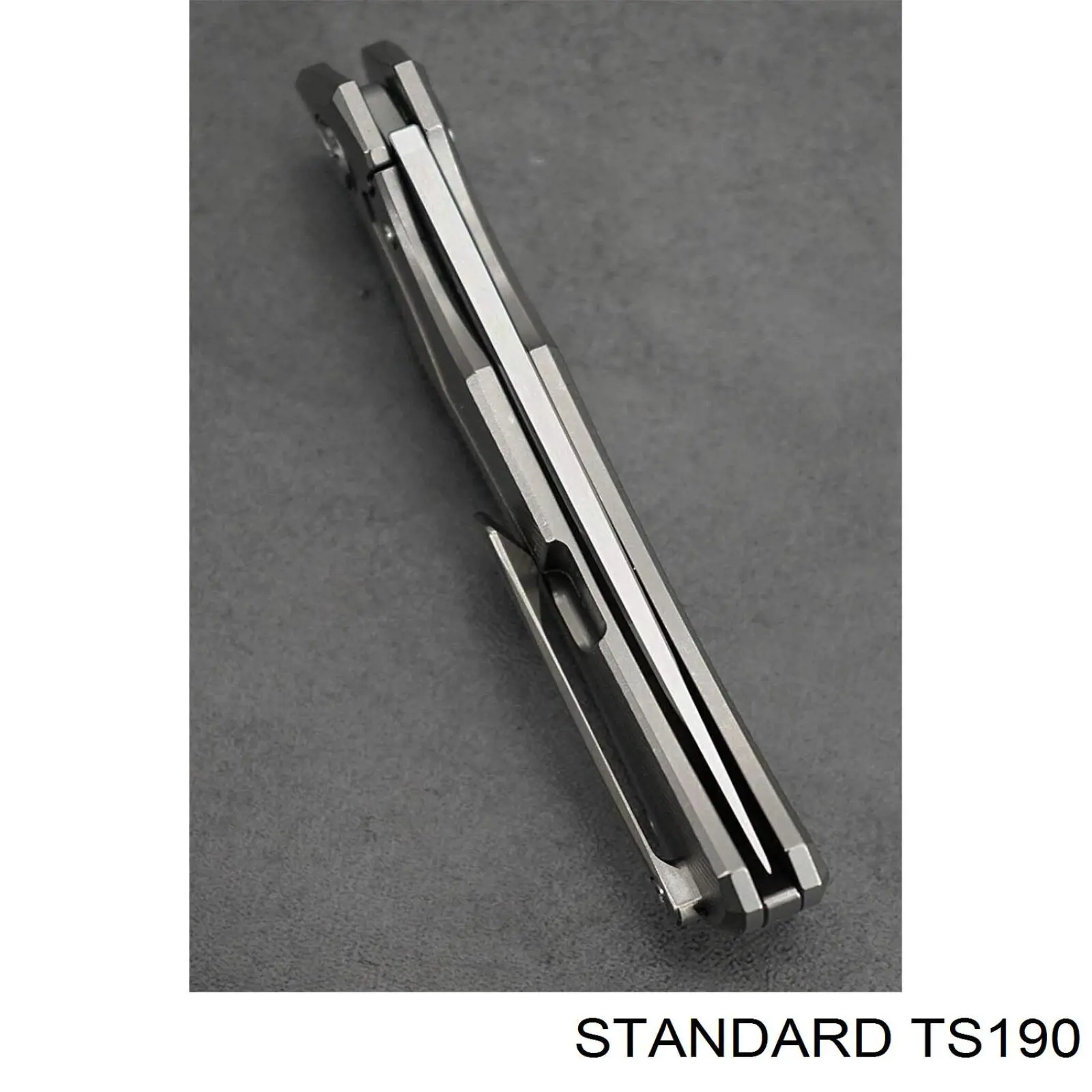TS190 Standard датчик температури охолоджуючої рідини