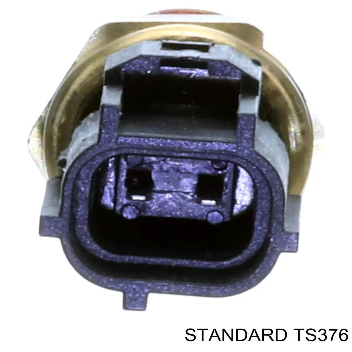 TS376 Standard Покажчик температури охолоджуючої рідини