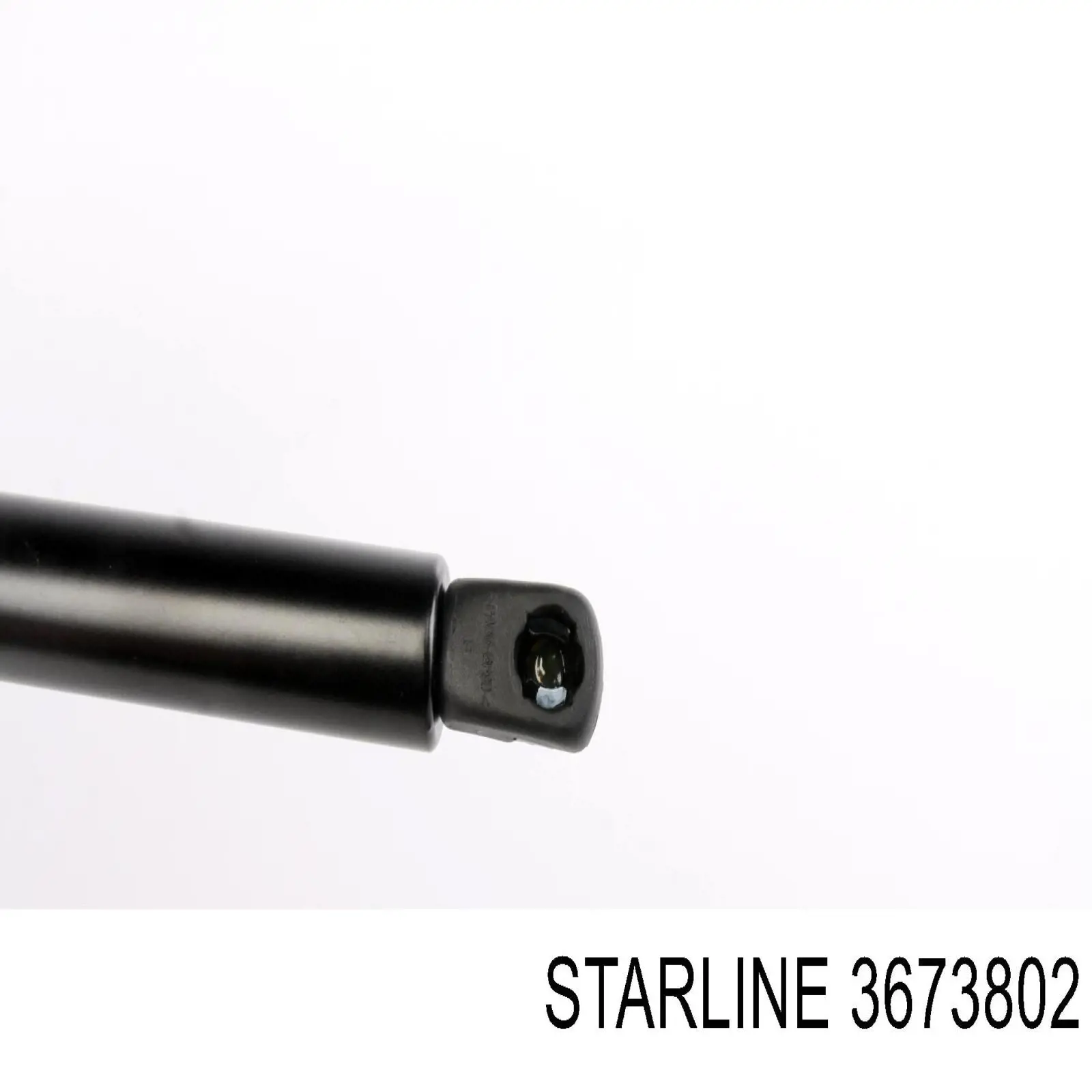 3673802 Starline 