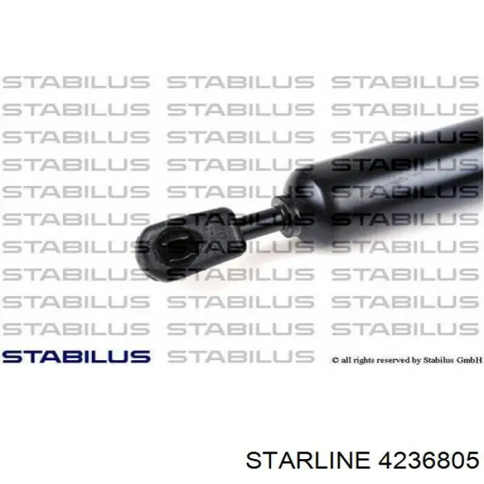 4236805 Starline 