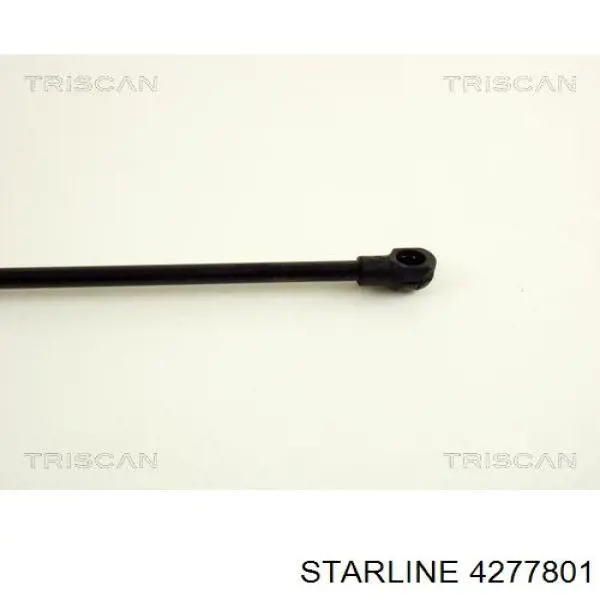 Амортизатор двері задньої Starline 4277801 ціна, від 9.20 USD