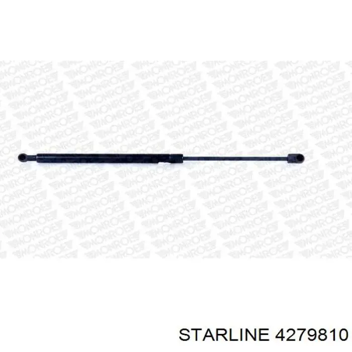 Амортизатор двері задньої Starline 4279810 ціна, від 7.72 USD