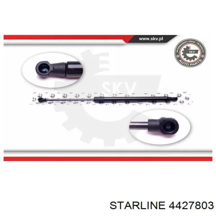 4427803 Starline 