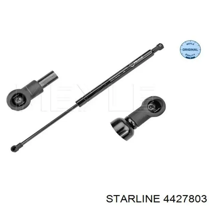 Купити 4427803 Starline 
