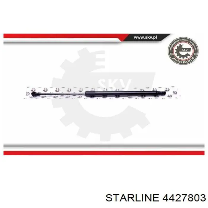  4427803 Starline