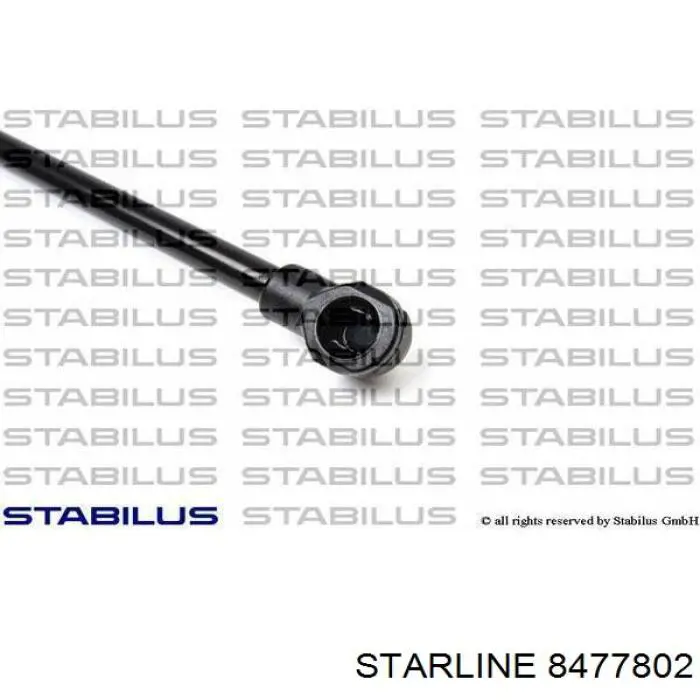 Купити 8477802 Starline Амортизатор двері багажника