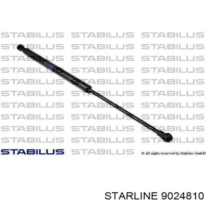 Амортизатор двері задньої Starline 9024810 ціна, від 9.02 USD