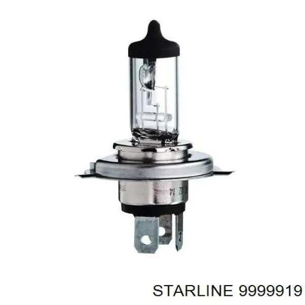  9999919 Starline