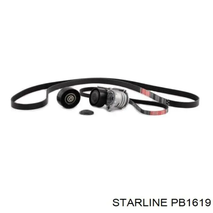 Задні дискові гальма Starline PB1619 ціна, від 24.55 USD