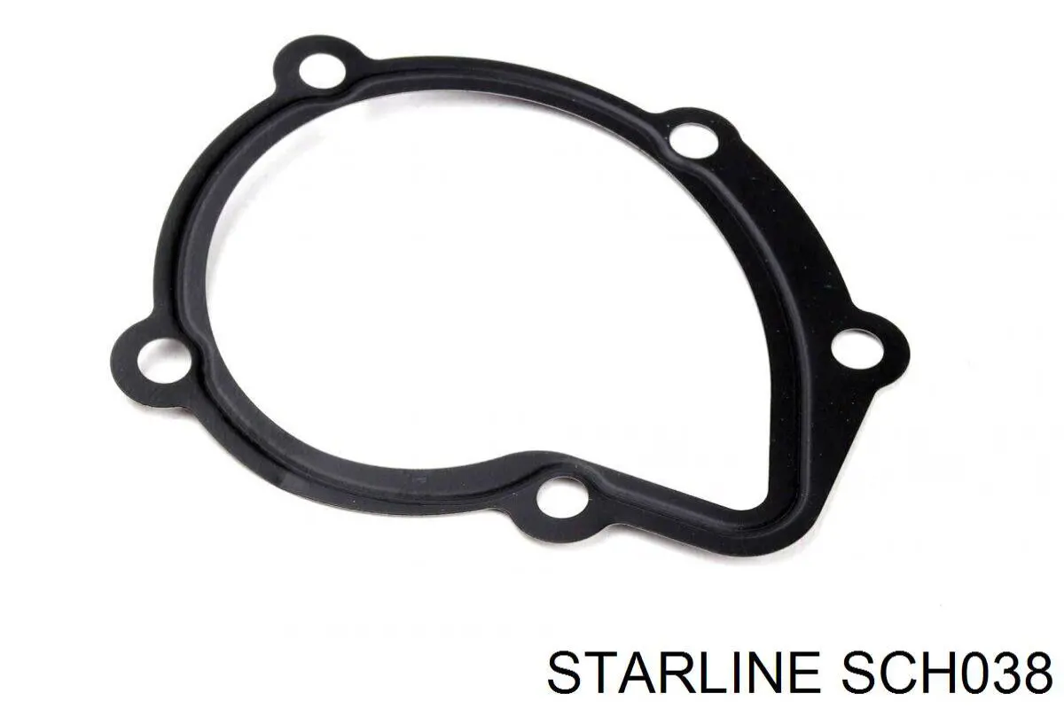 SCH038 Starline Насос гідропідсилювача