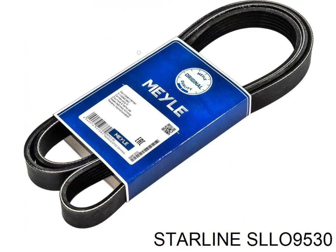 SLLO9530 Starline Робочий циліндр зчеплення в зборі з витискним підшипником