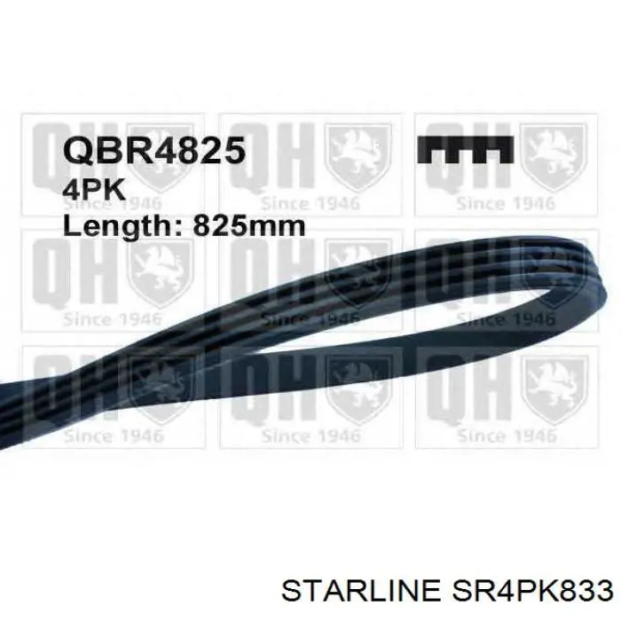 SR4PK833 Starline ремінь приводний, агрегатів
