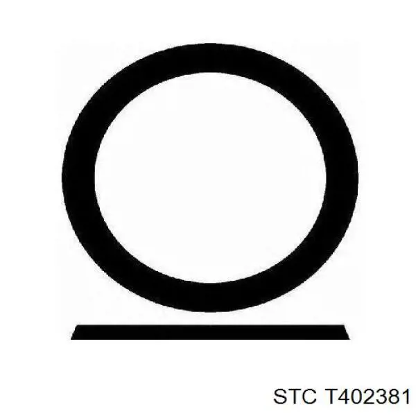 T402381 STC Прокладка штанів