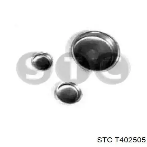 Купити T402505 STC Заглушка блоку циліндрів