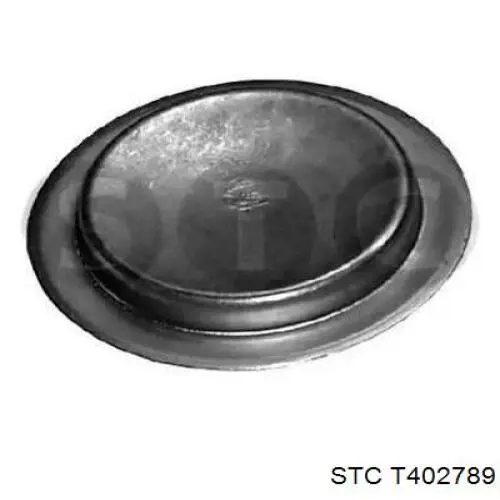 Купити T402789 STC Заглушка блоку циліндрів