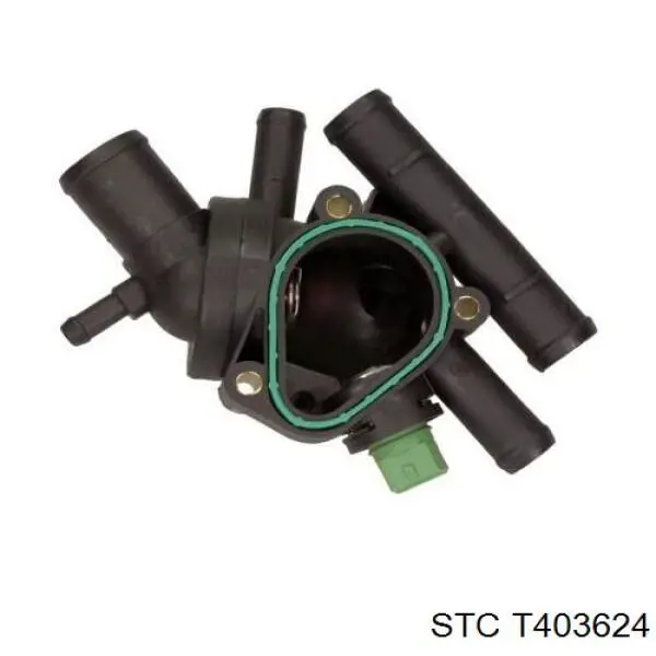 Купити T403624 STC Корпус термостата